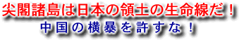 尖閣諸島は日本の領土の生命線だ！中国の横暴を許すな！